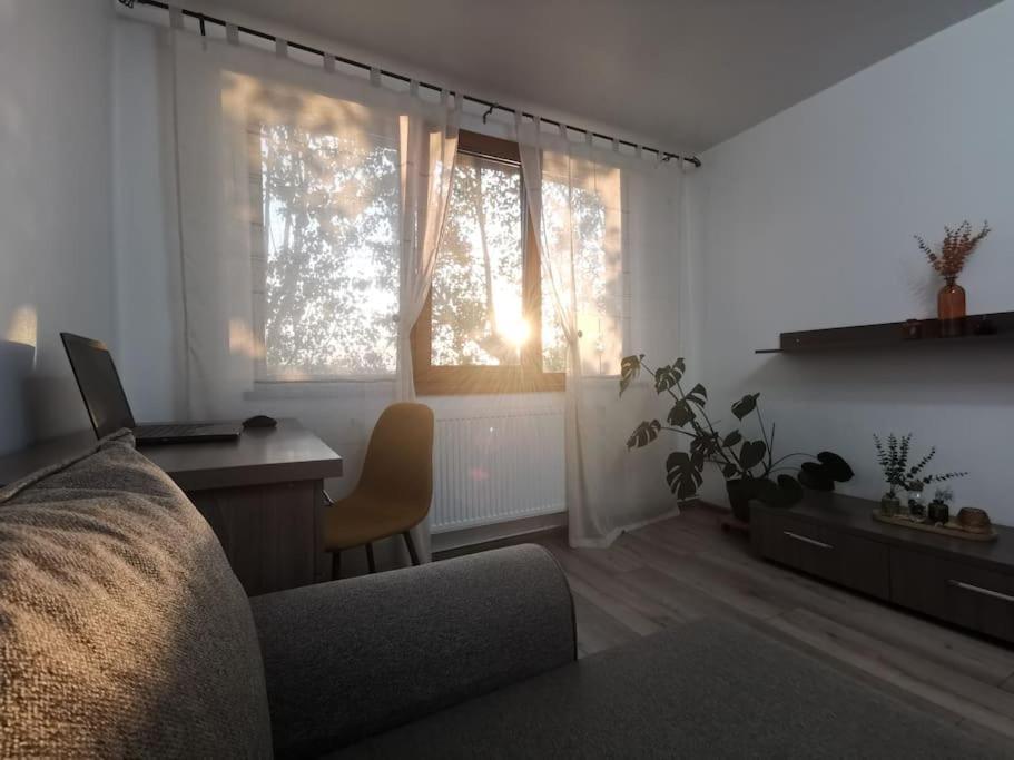 Apartament Gulliver In Centrul Vechi ยาช ภายนอก รูปภาพ