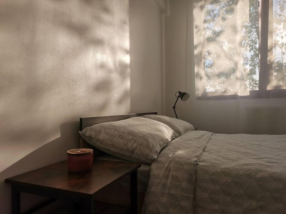 Apartament Gulliver In Centrul Vechi ยาช ภายนอก รูปภาพ