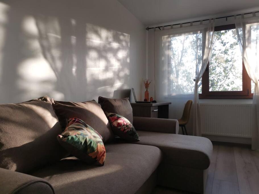 Apartament Gulliver In Centrul Vechi ยาช ภายนอก รูปภาพ
