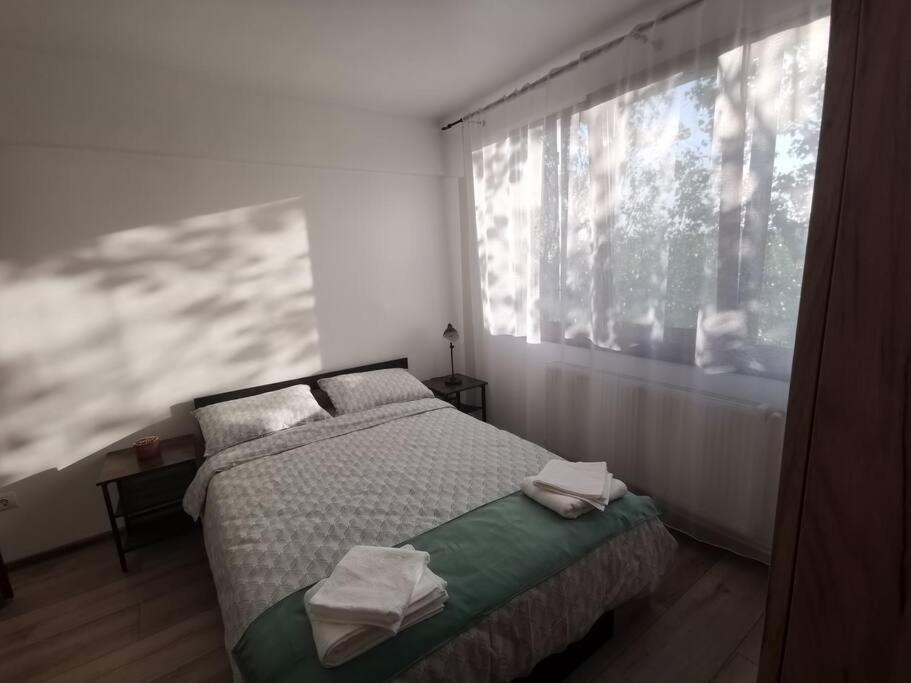 Apartament Gulliver In Centrul Vechi ยาช ภายนอก รูปภาพ